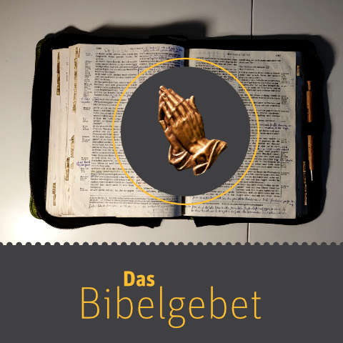 Zur Bibel App