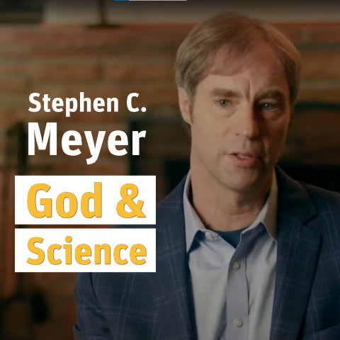 To the website of Stephen C. Meyer