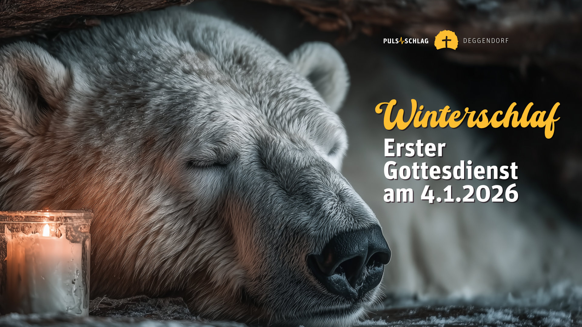 Winterschlaf Winterschlaf